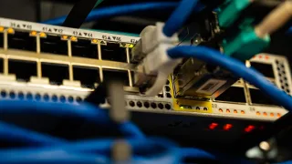 Kable sieciowe wpięte w przełącznik